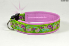 Paisley apple
