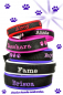 Preview: DiY - Halsband mit Namensbestickung (35 mm Breite)