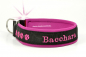 Preview: DiY - Halsband mit Namensbestickung (35 mm Breite)