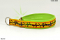 Preview: Gecko
