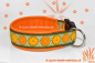 Preview: GloryDots orange