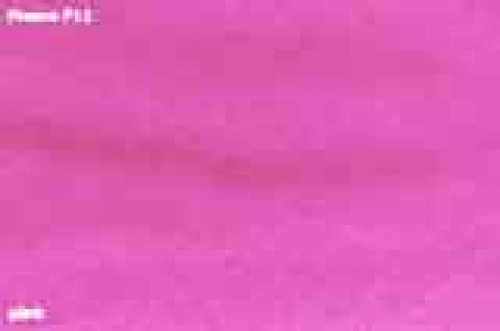 DiY - Halsband mit Namensbestickung (25 mm Breite)