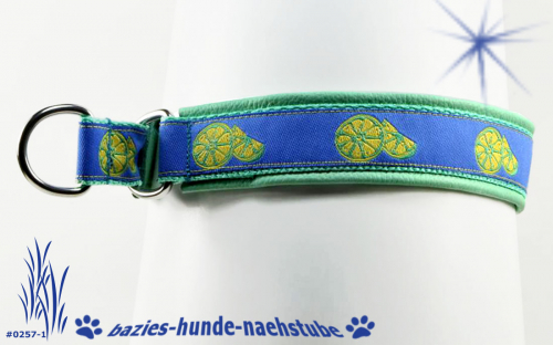 Zugstopp-Halsband "Fruit Lemon"