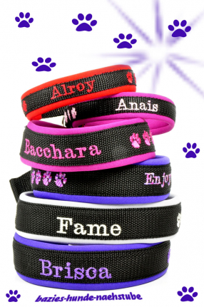 DiY - Halsband mit Namensbestickung (40 mm Breite)