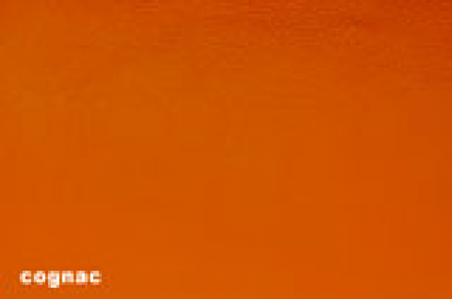 DiY - Halsband mit Namensbestickung (30 mm Breite)