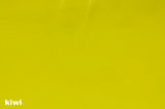 DiY - Halsband mit Namensbestickung (25 mm Breite)