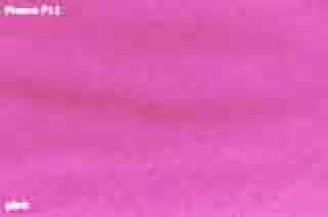 DiY - Halsband mit Namensbestickung (25 mm Breite)