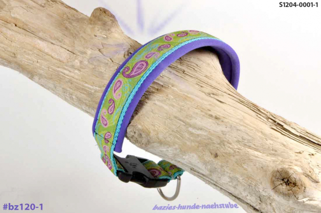 Paisley apple